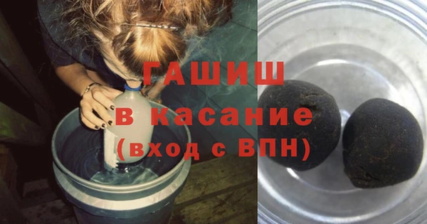 тгк Дмитриев