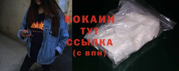 тгк Дмитриев