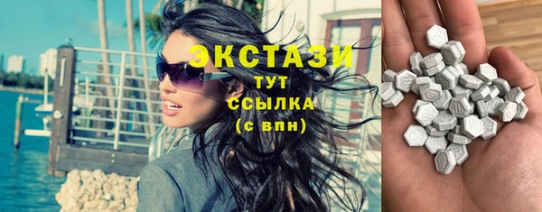 тгк Дмитриев