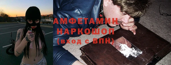 тгк Дмитриев