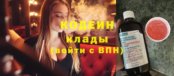 тгк Дмитриев