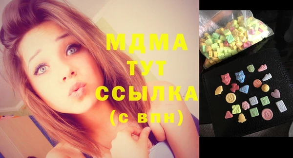 тгк Дмитриев
